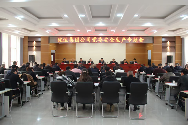 隴運集團(tuán)公司黨委召開2025年經(jīng)濟(jì)運行專題會議和安全生產(chǎn)專題會議